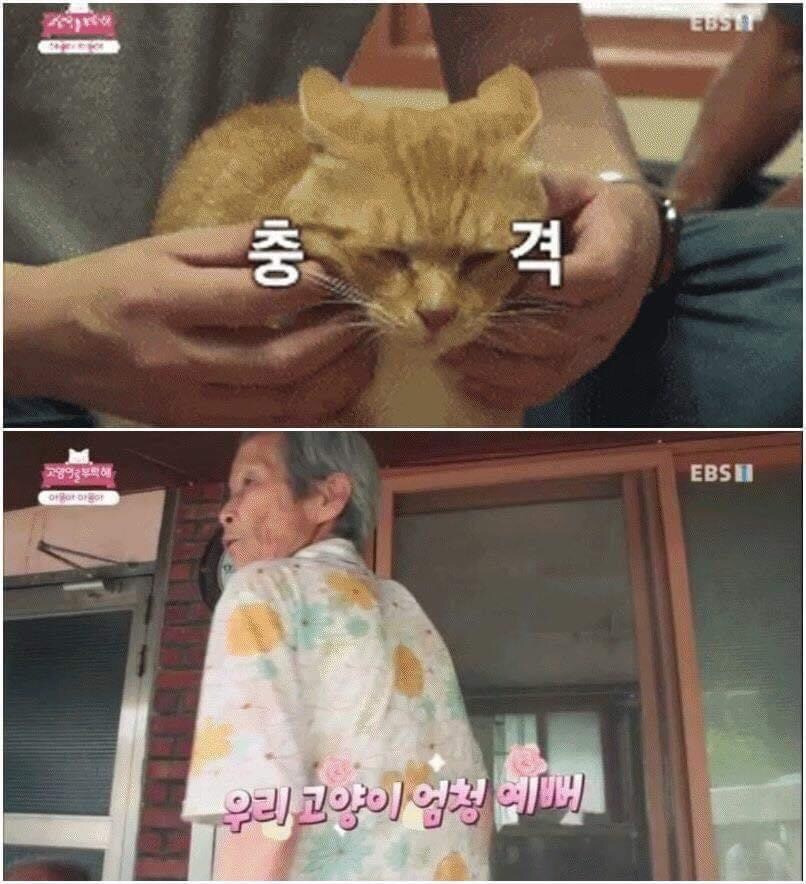 덩어리 이미지