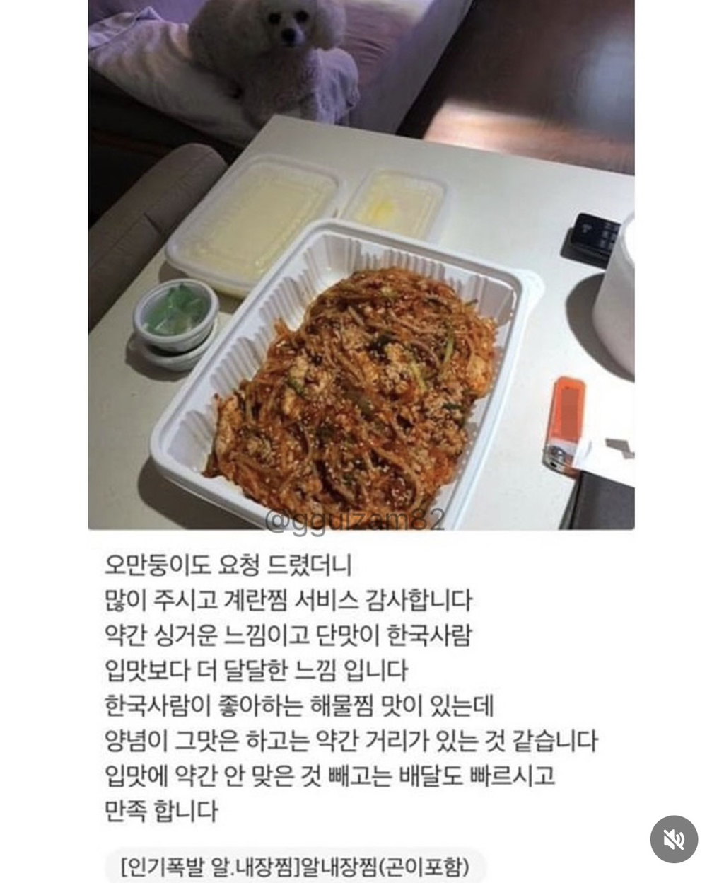 늘 보이던 강아지가 안 보이니 아쉬워하는 사장님.jpg | 인스티즈