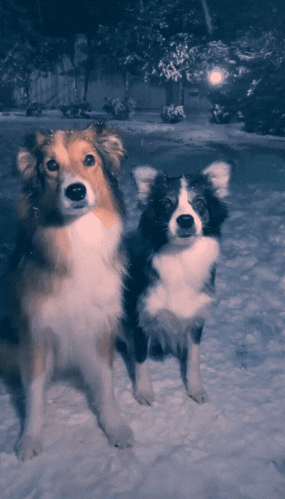 9a3f1f6c5897f1b83517d6123e653fb028acd47e