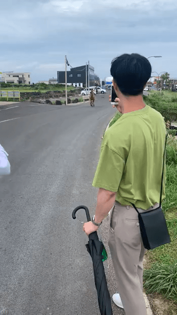 [깜놀주의] 비명 레전드 | 인스티즈