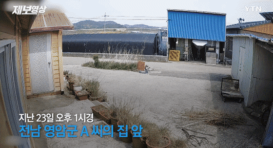 시골에 cctv 다는 집이 많아지는 이유 | 인스티즈