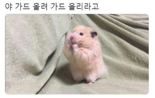 오후3시 이미지