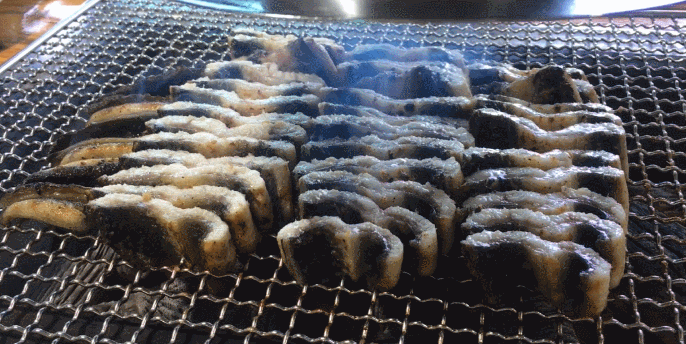 풍천장어(500g)