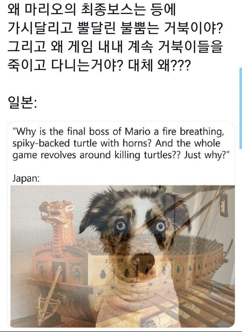(유머) 슈퍼 마리오에서 거북이가 최종 보스인 이유 | 인스티즈
