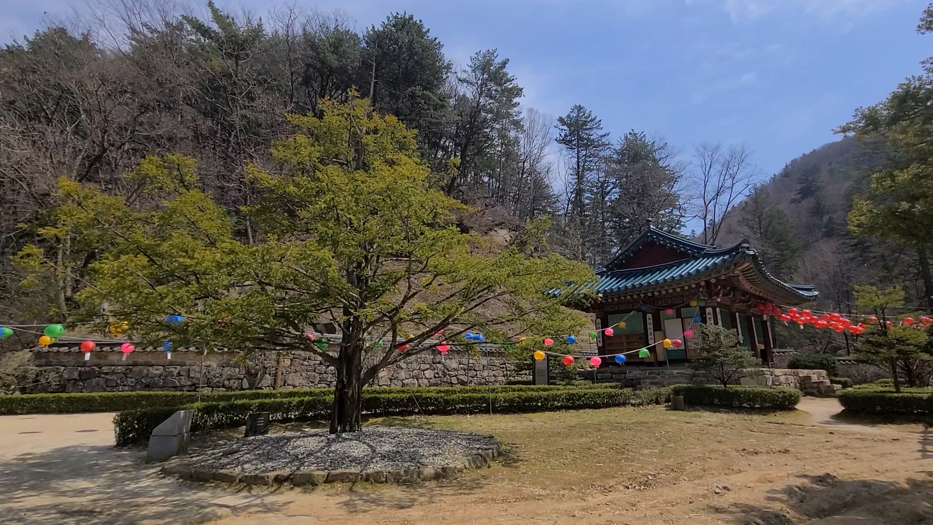 a04b525804e2e642dd834b546bc9bb03c8fc6cb1