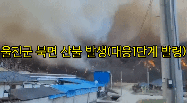 울진 대형 산불 | 인스티즈