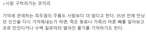 사람에게 무섭기만하다는 코끼리의 진실.gif | 인스티즈