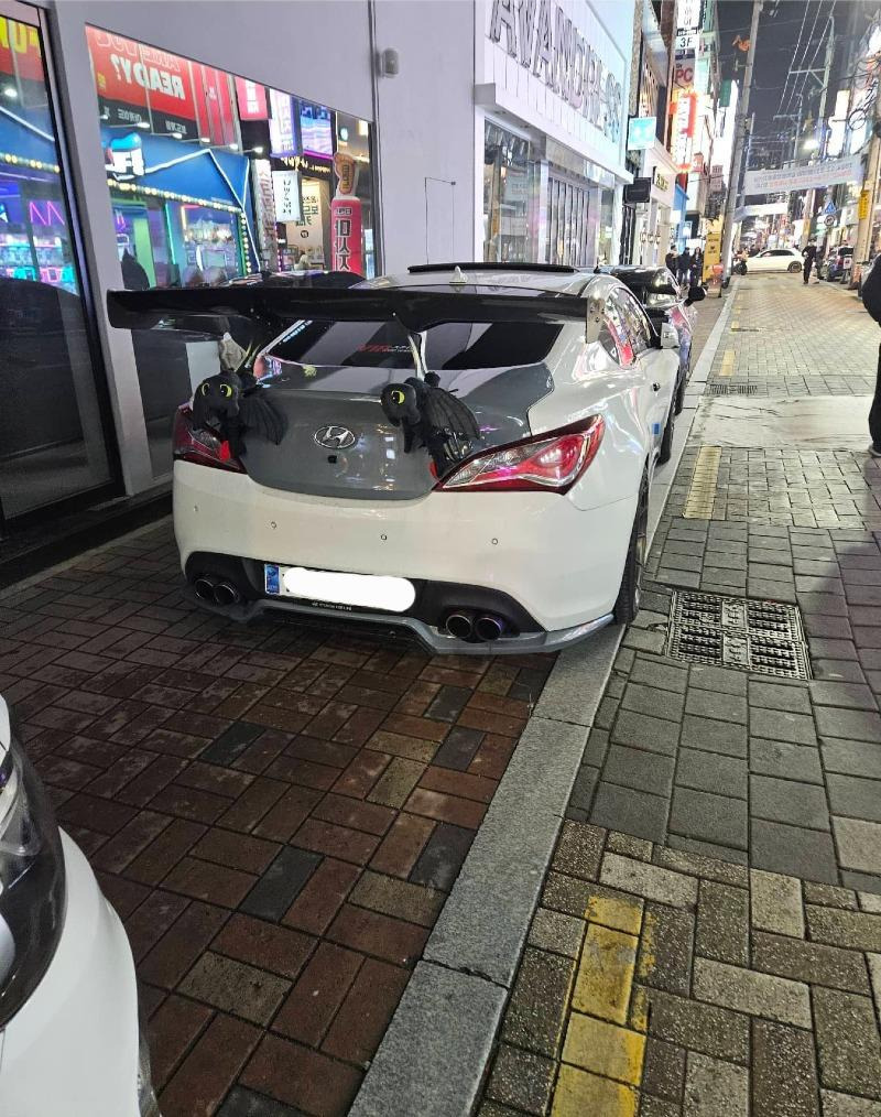 동성로 불법주차 99대 신고한 보배인 | 인스티즈