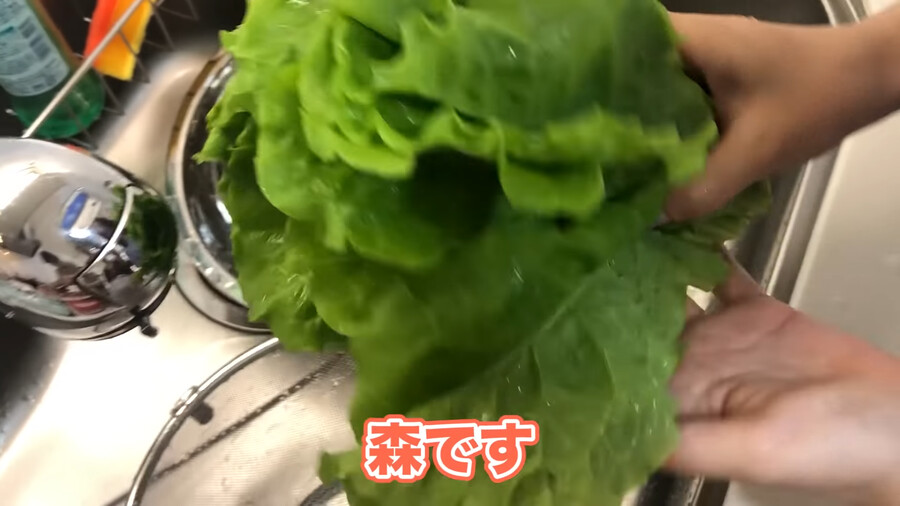 일본 여성 성우들이 고기먹는법 | 인스티즈