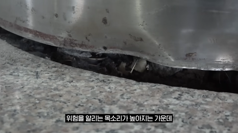 현재 심각한 수준이라는 부산역 상황 | 인스티즈