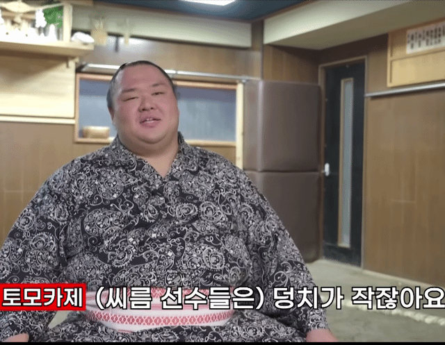  한국 씨름 VS 일본 스모 | 인스티즈