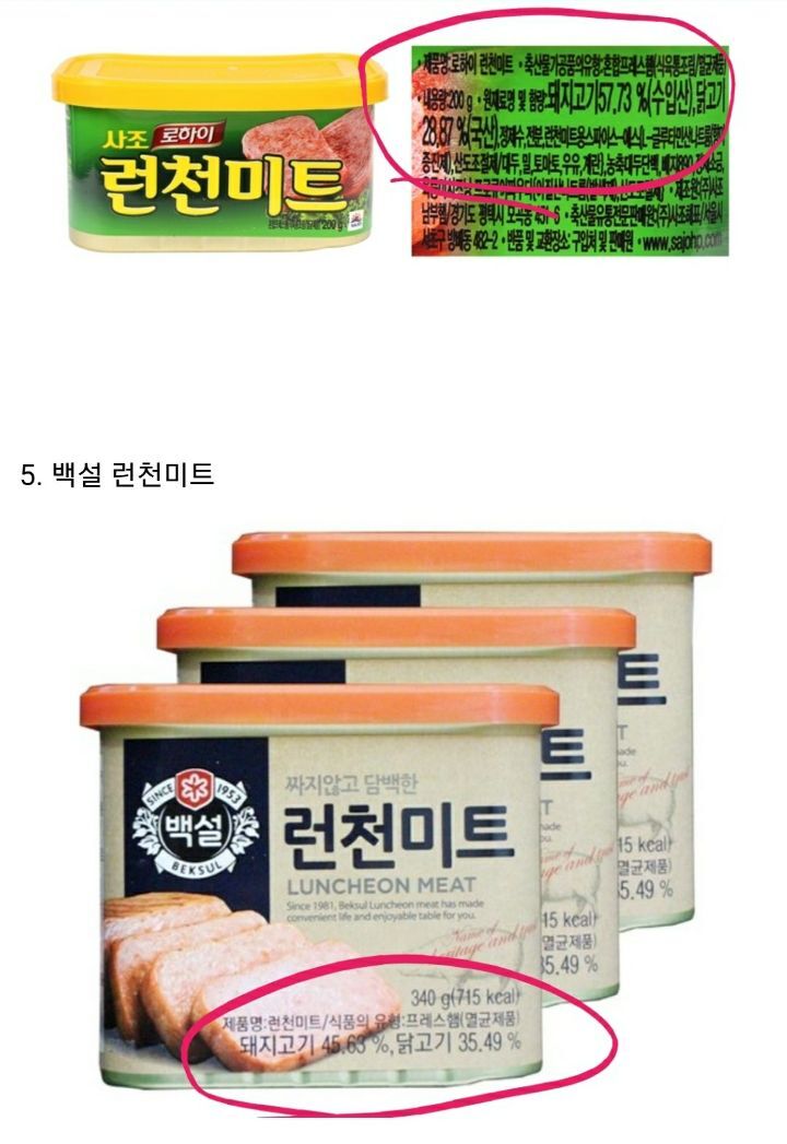 런천미트에 대해서 알아보자 | 인스티즈