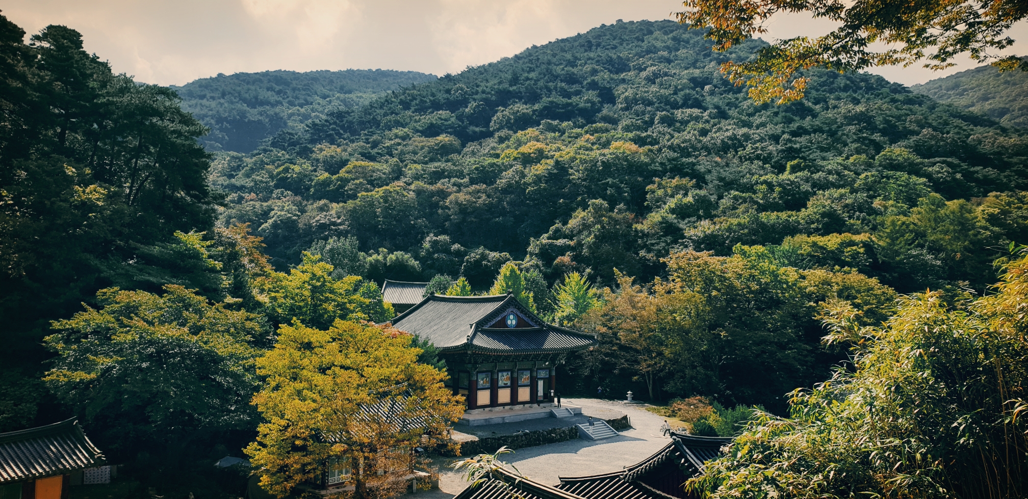 a9021355c913c91979a195e251574d682404423f