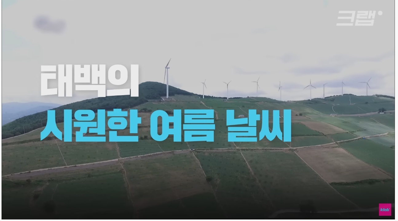 우리나라에서 가장 시원한 도시 - 엽기사진실 - 이종격투기 우리나라에서 가장 시원한 도시