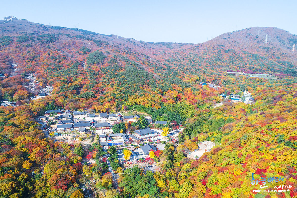 aa611c370af19d9dcd127c6ef8d2dd38fa92d235