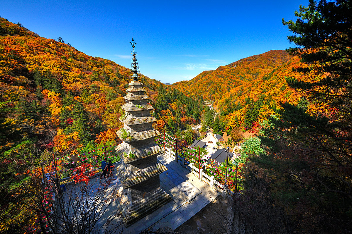 aa88b491122bb5d9661cbb22831f5b3a090ebd82