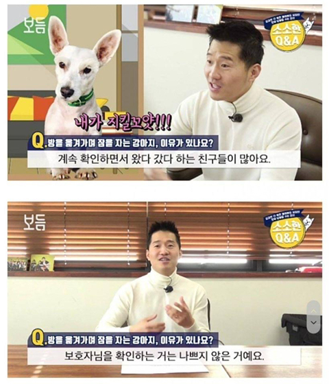 강아 자리를 옮겨가며 자는 이유는? | 인스티즈