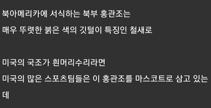 실사판 앵그리 버드를 찍는데 성공한 사진가 | 인스티즈