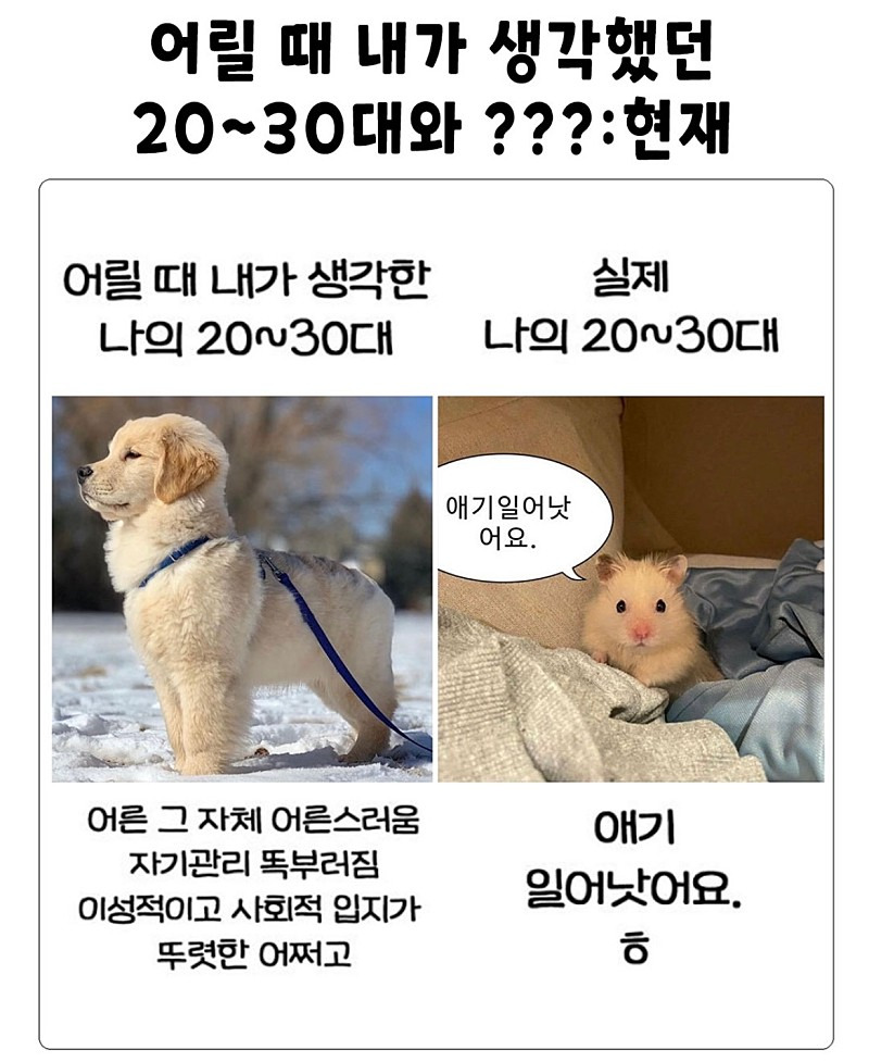 어릴때 생각했던 20~30대 | 인스티즈