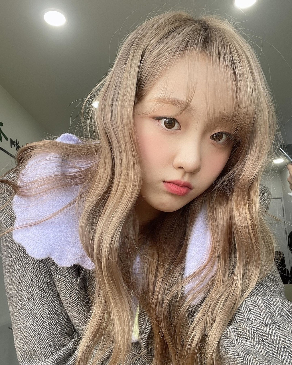 라클로이 이미지