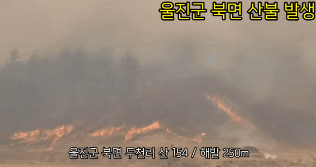 울진 대형 산불 | 인스티즈