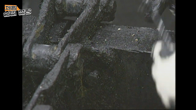 ad27328fd243f0d23f131af1209bf338c9e106ba