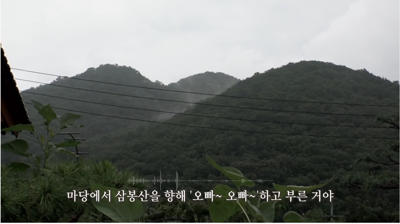 산에서 무장공비 31명과 마주친 나무꾼 4형제 | 인스티즈