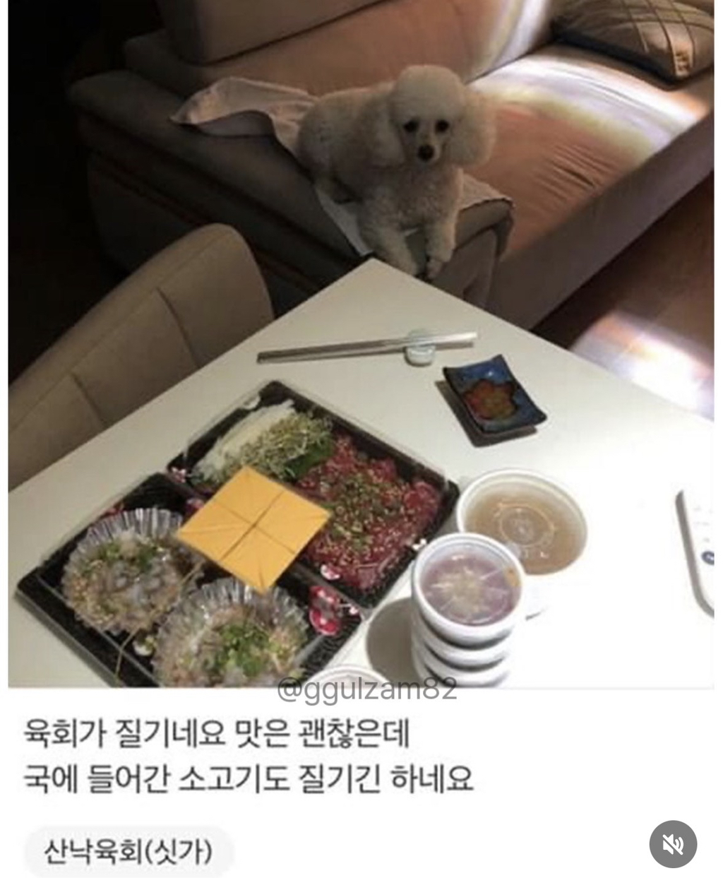 늘 보이던 강아지가 안 보이니 아쉬워하는 사장님.jpg | 인스티즈