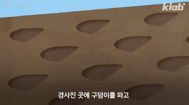 피카츄로 진화하는 피츄삽질만 해도 사막화 방지에 도움된다는 방법 | 인스티즈