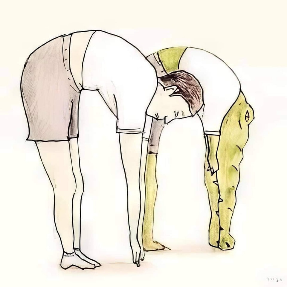 악어로 살면 생길 수 있는 문제들 | 인스티즈