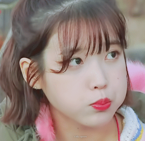 자라니 레전드 총망라 | 인스티즈