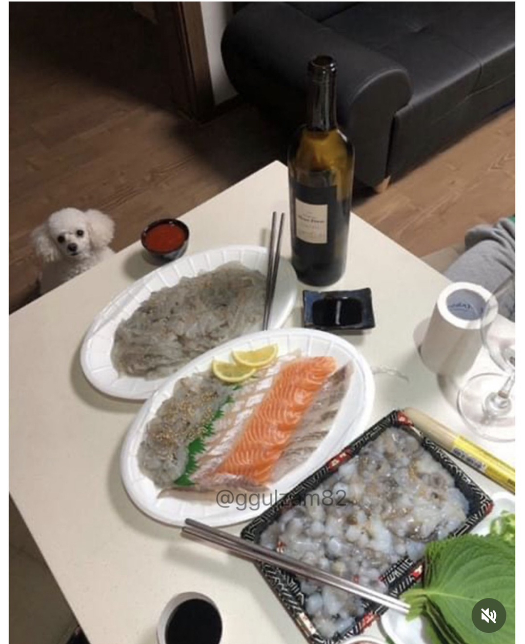 늘 보이던 강아지가 안 보이니 아쉬워하는 사장님.jpg | 인스티즈