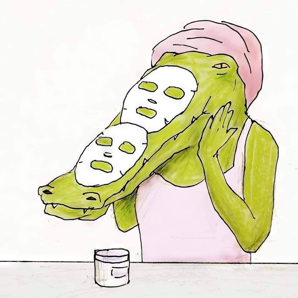 악어로 살면 생길 수 있는 문제들 | 인스티즈