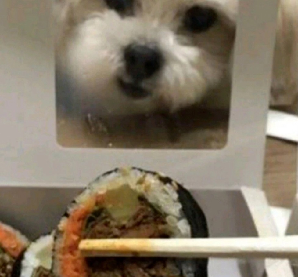김밥주세요 이미지