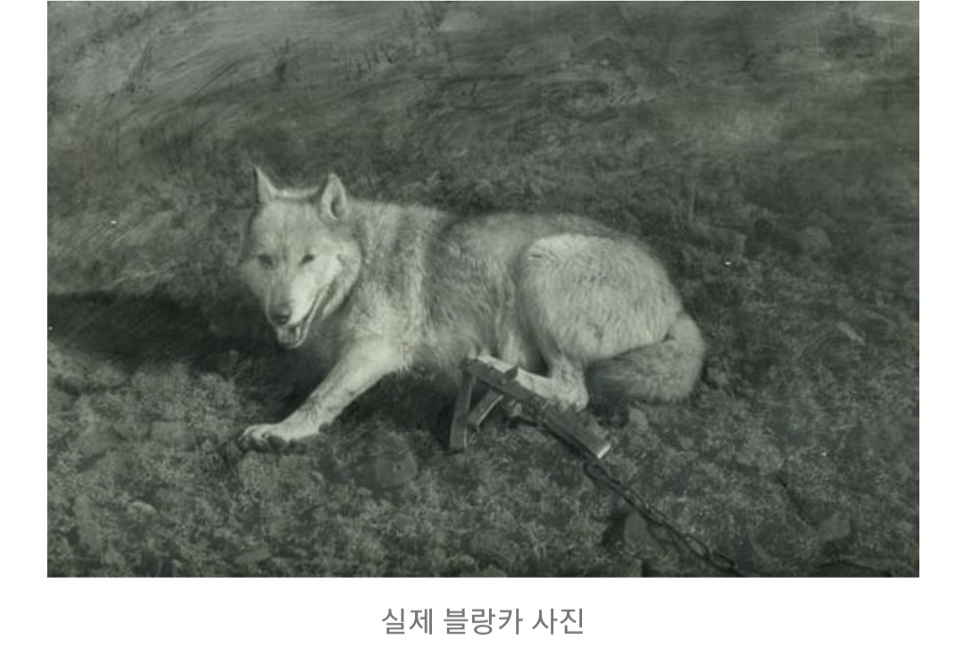 간지왕 이미지