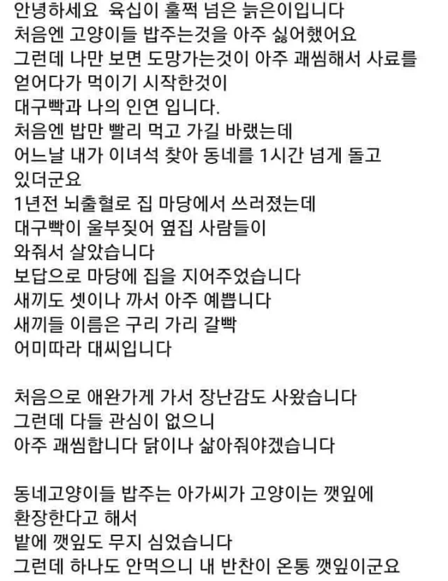 안녕하세요 육십이 훌쩍 넘은 늙은이입니다 | 인스티즈