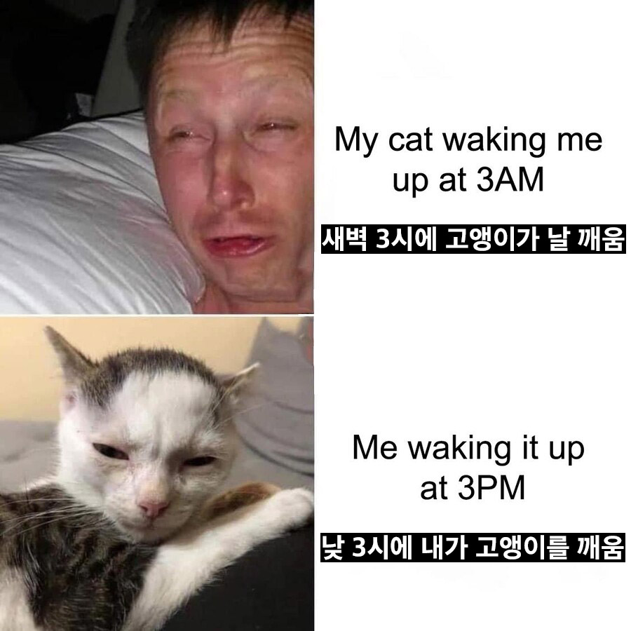 깨움 이미지