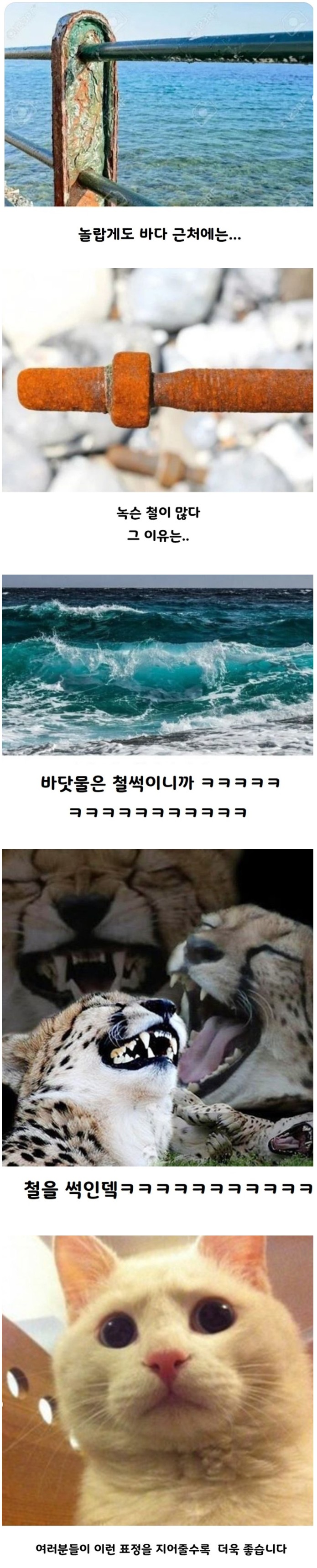 바닷물이 철을 녹쓸게 만드는 이유 | 인스티즈