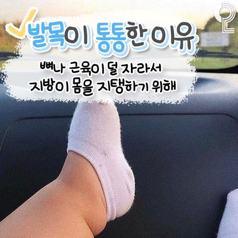 아가들이 통통한 이유 | 인스티즈