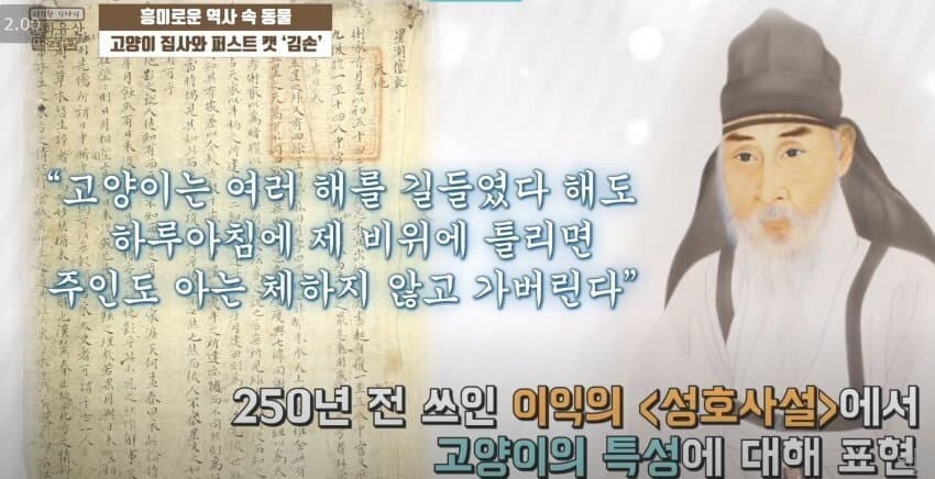 조상님이 평가한 고양이 | 인스티즈