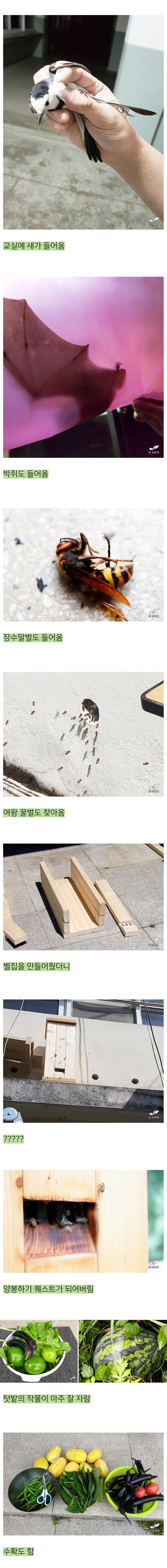 폐교를 빌려 작은 세상을 만든 블로거...jpg | 인스티즈