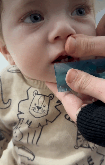 과학수사로 잡은 범인 | 인스티즈