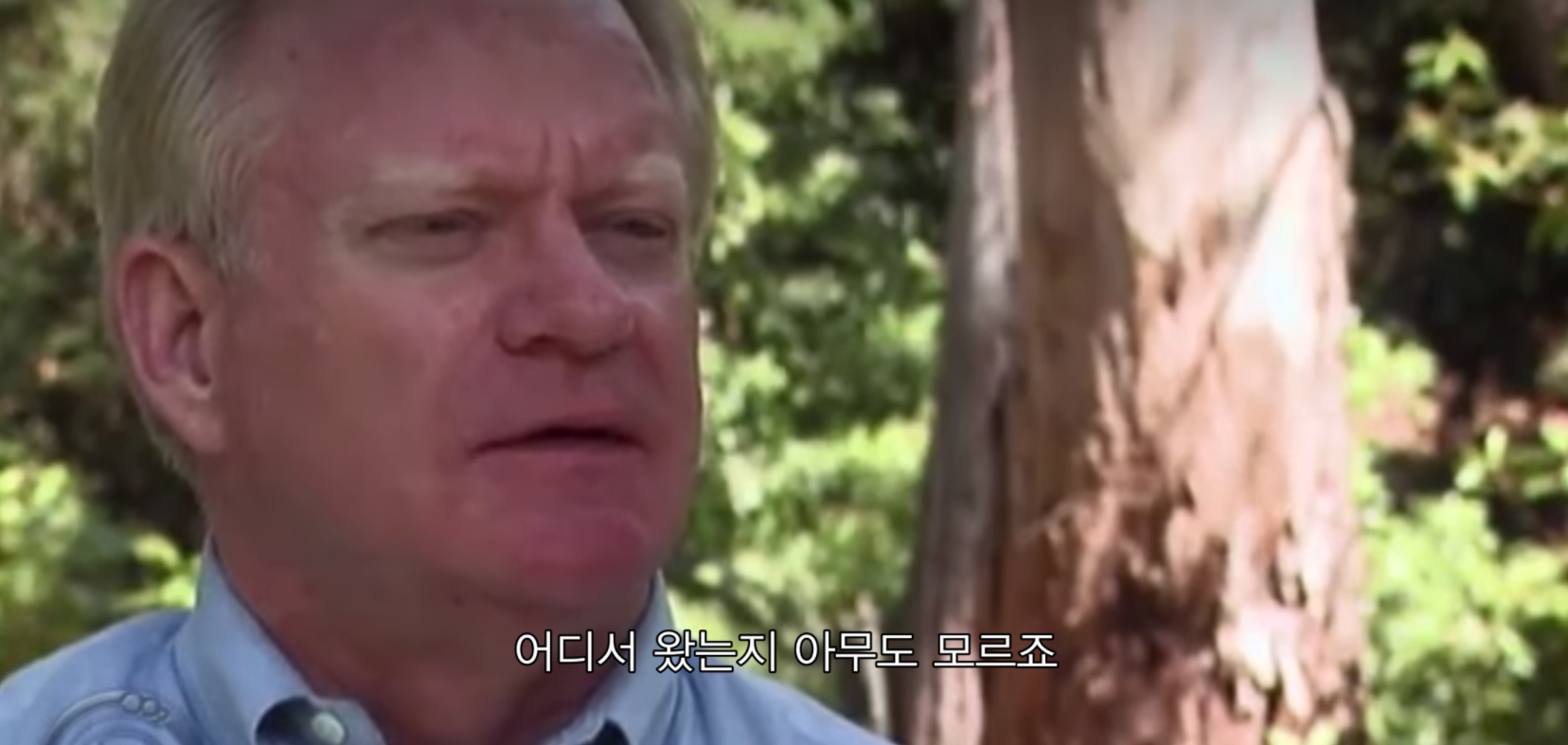 [실제사진] UFO를 수백, 수천명이 동시에 목격한 사건..!! | 인스티즈