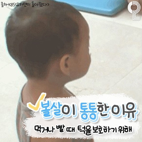 아가들이 통통한 이유 | 인스티즈