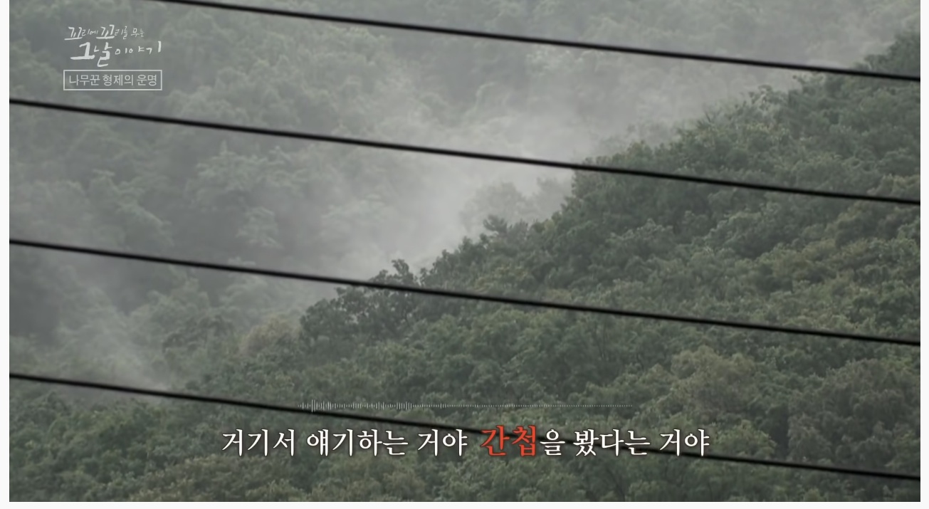 산에서 무장공비 31명과 마주친 나무꾼 4형제 | 인스티즈