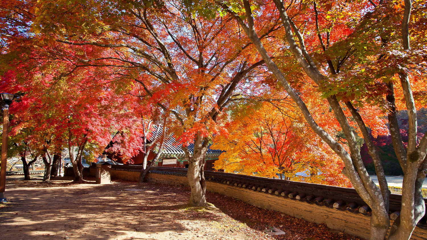 ba11f23fe98adc3b47c147ac43db5a063beb9b23