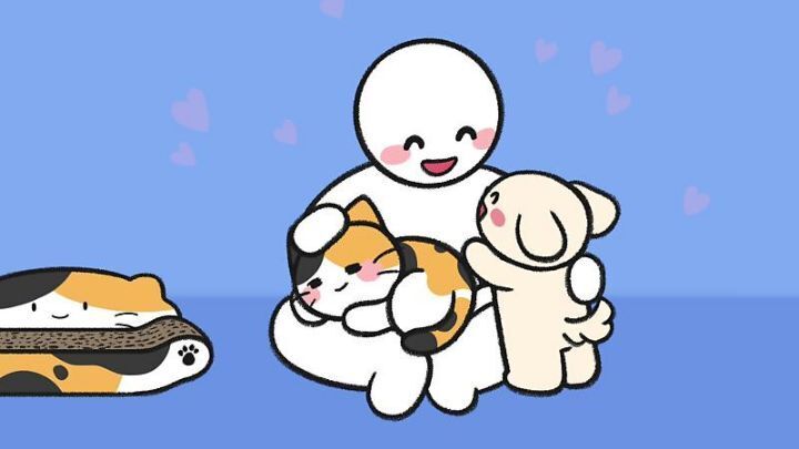 고양이가 집사에게 엉덩이를 들이미는 이유 5가지 | 인스티즈