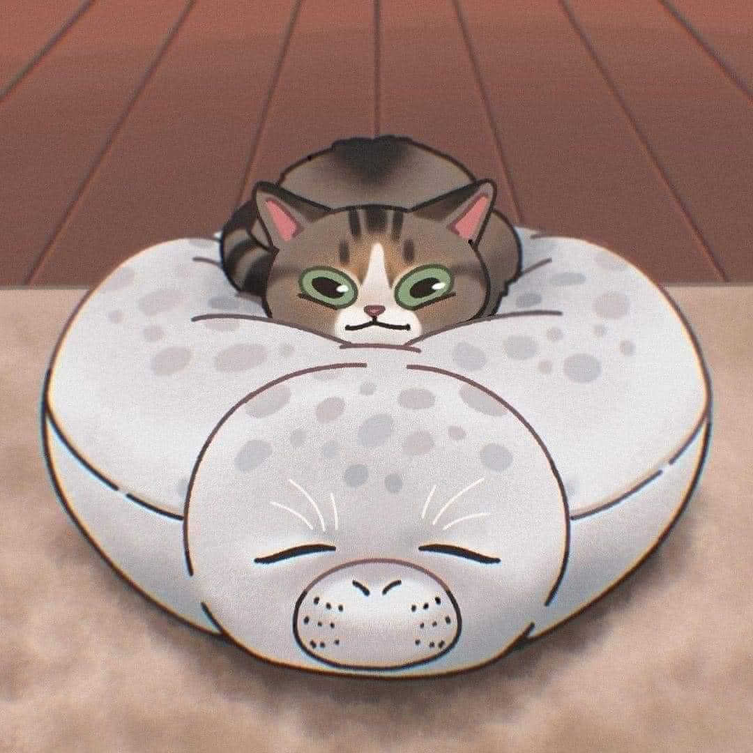[귀여움대결] 고양이 그림 vs 사진 | 인스티즈