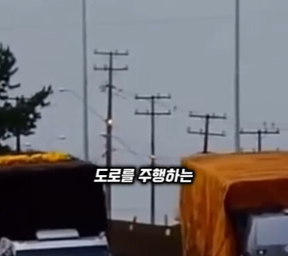 브라질의 독특한 트럭 문화.jpg | 인스티즈
