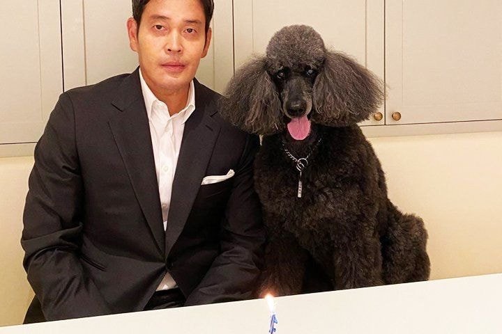 부잣집에서 자란 강아지들 | 인스티즈